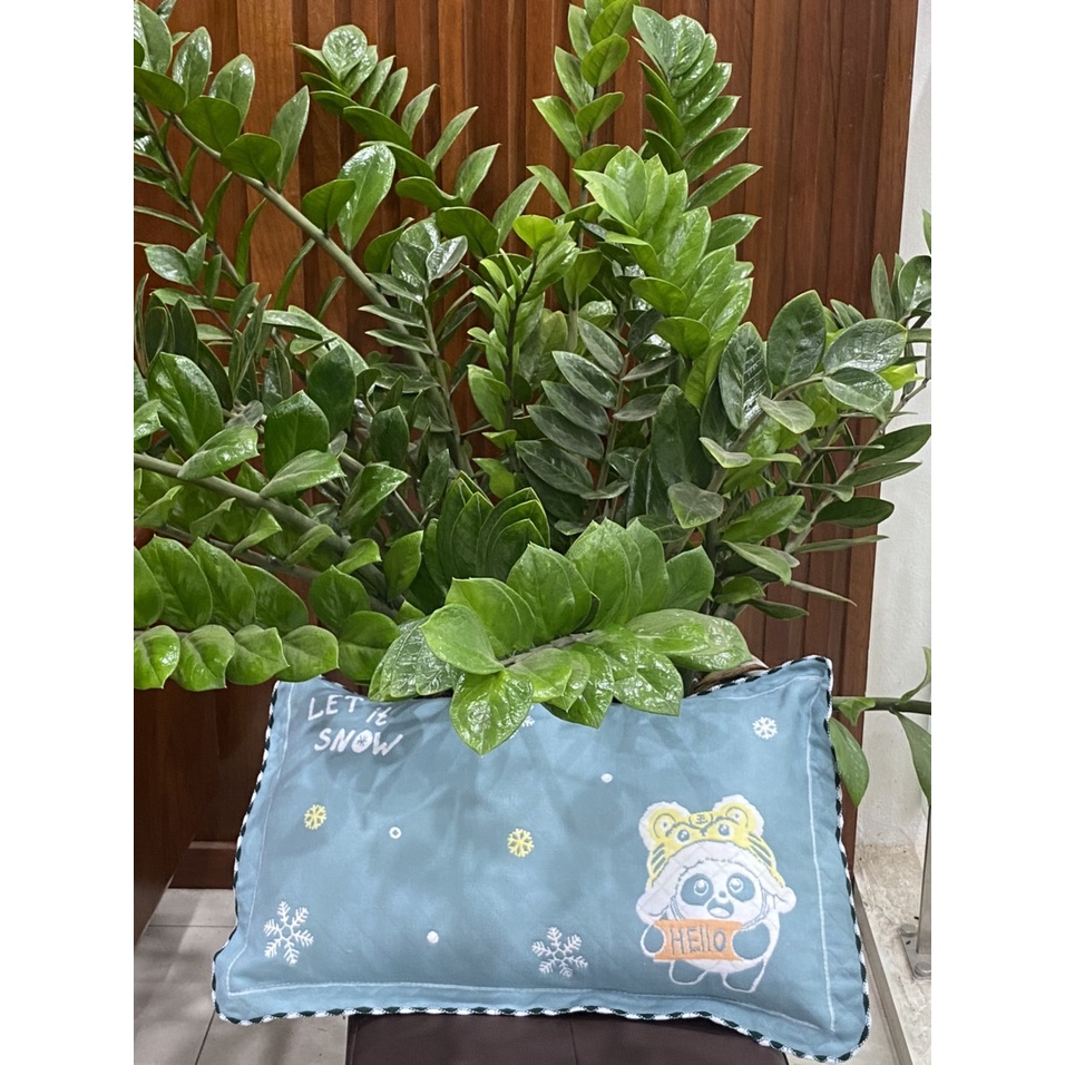 Gối đũi cho bé, gối cotton đũi cho bé từ 1 đến 10 tuổi mềm mịn thoáng khí thấm hút mồ hôi tốt, nhiều hình ngộ nghĩnh