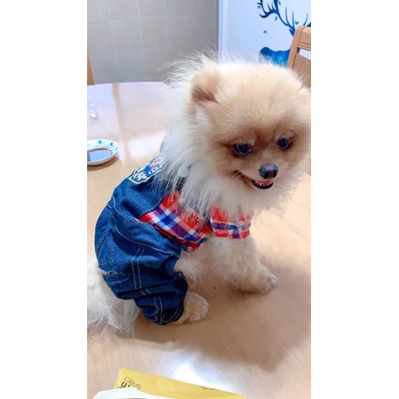 Quần áo thú cưng - quần yếm jeans dạng liền phối áo sọc caro phong cách năng động xì tin cho chó mèo