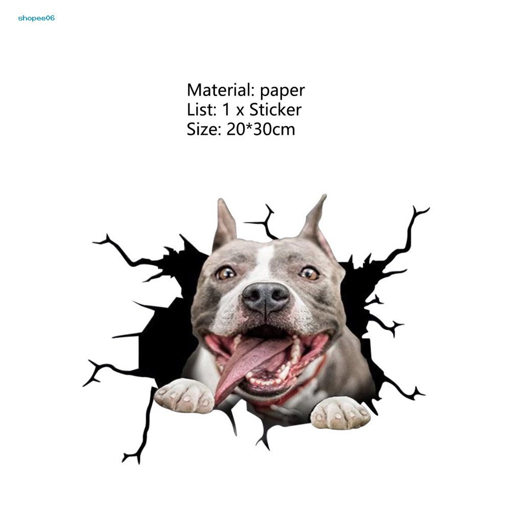 Đề Can Dán Trang Trí Xe Hơi Họa Tiết Đôi Mắt Động Vật 3D Vui Nhộn