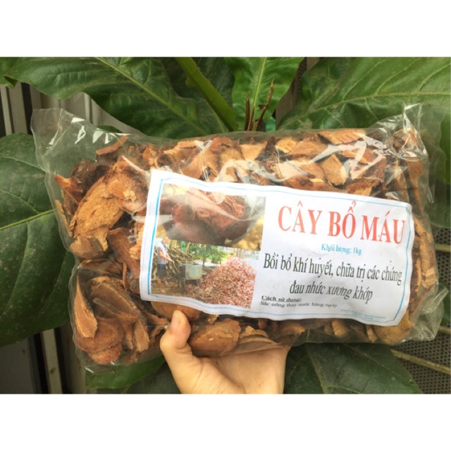 1kg cây bổ máu tăng cân (huyết đằng)