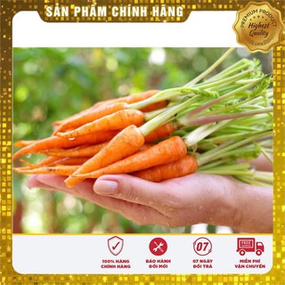 hạt giống cà rốt mini chịu nhiệt 100 hạt