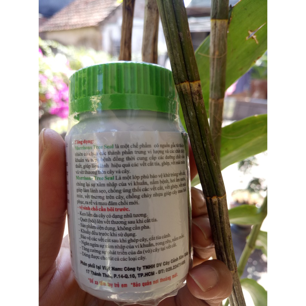 Keo Liền Sẹo cây Mỹ Morrison 100g