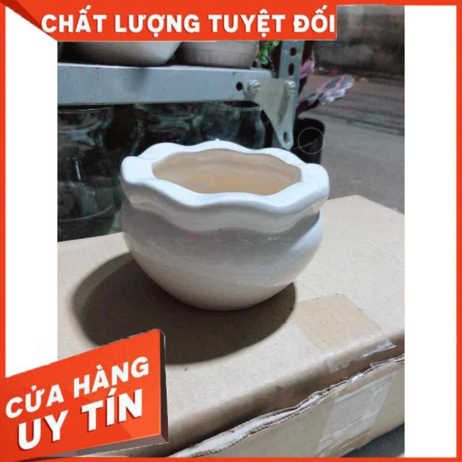 Chậu Trồng Cây Nhiều Người Mua