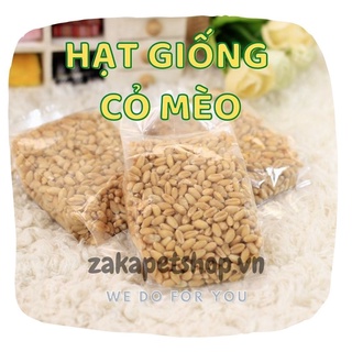 Hạt giống cỏ mèo cao cấp 100gr