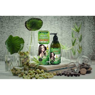 Dầu gội bồ kết sả chanh việt nhật