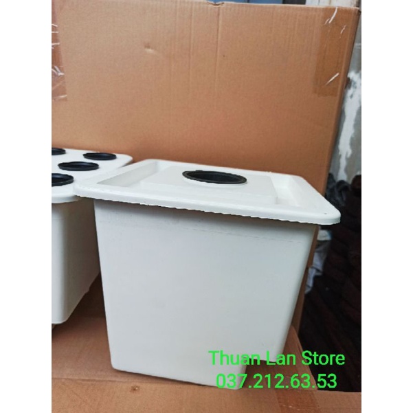 Bộ Thùng Trồng Cây Ăn Trái Thủy Canh Tĩnh