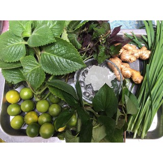 Siro quất húng chanh handmade 300ml