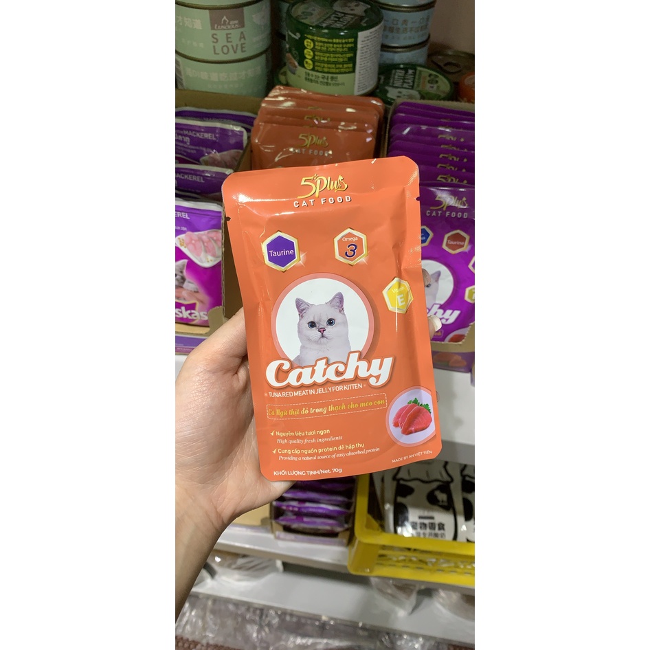 Pate cho mèo Catchy 5 Plus thơm ngon đủ vị 70g