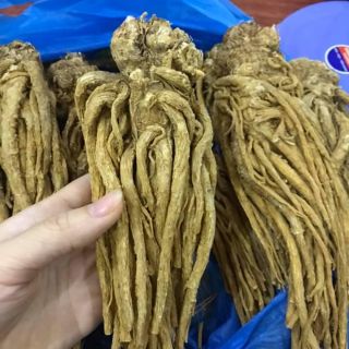 nhân sâm đương quy khô  100g