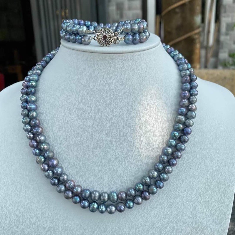 Bộ trai xám lông công