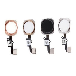 Nút home iphone 5s/6/6s/6plus/6splus (tặng miếng dán chống xước vỏ máy)