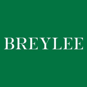 BREYLEE VN OFFICIAL SHOP