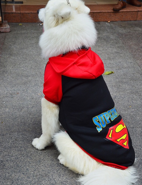 ÁO SUPERDOG - BIG SIZE CHO CHÓ LỚN