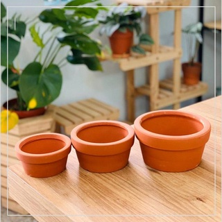 Chậu đất nung thấp