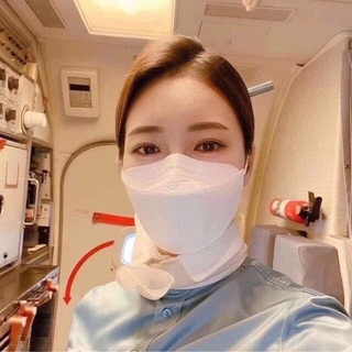 Khẩu trang Vinfa pro 4D cao cấp