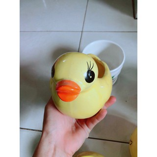 Chậu Trồng Cây Vịt Vàng