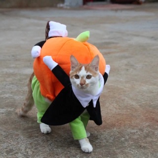 Quần áo chó mèo-áo bí ngô halloween