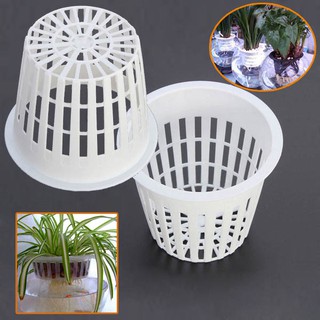 50 Rọ Thủy Canh 65*65*40 mm
