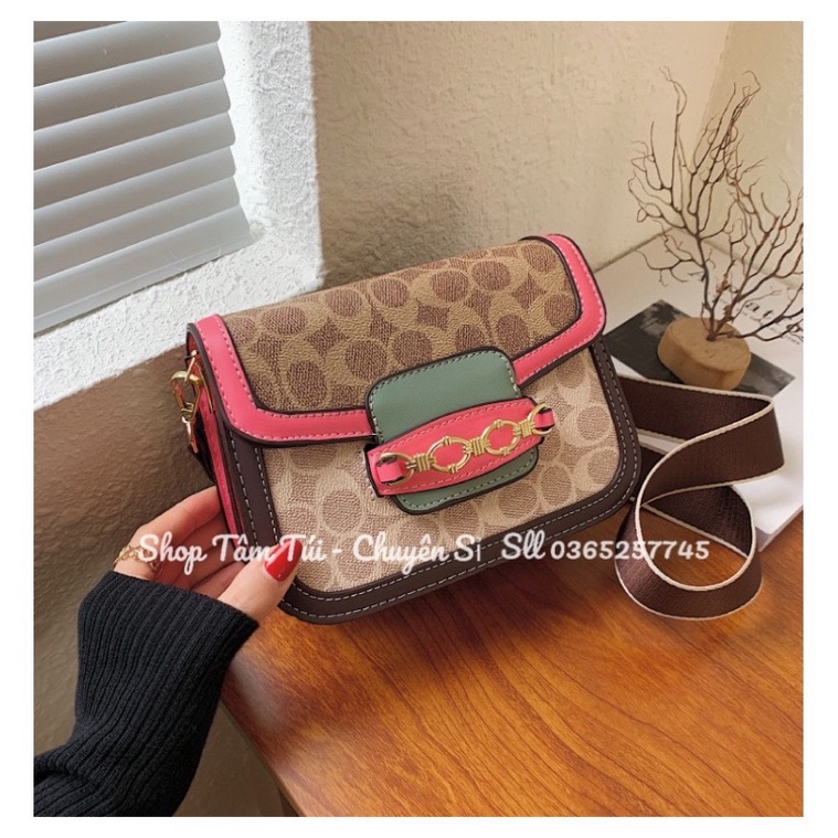 Túi xách hà hồ coach size 21cm hàng quảng châu cao cấp ảnh thật shop chụp