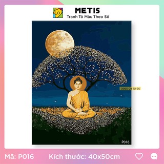 Tranh Tô Màu Theo Số Tranh Tây Phương cực lạc Đã Căng Khung METIS