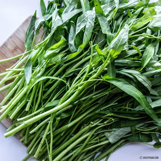 Hạt Giống Rau Muống Lá Tre Cao Cấp TN 100g/Gói - Dễ Trồng, Dạng Lá Tre Cọng, Nhỏ. Ăn Giòn, Ngọt, Ngừa Táo Bón