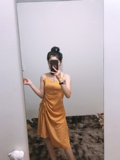 Đầm hót giá hạt dẻ