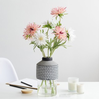 CÀNH HOA CÚC NHÍM