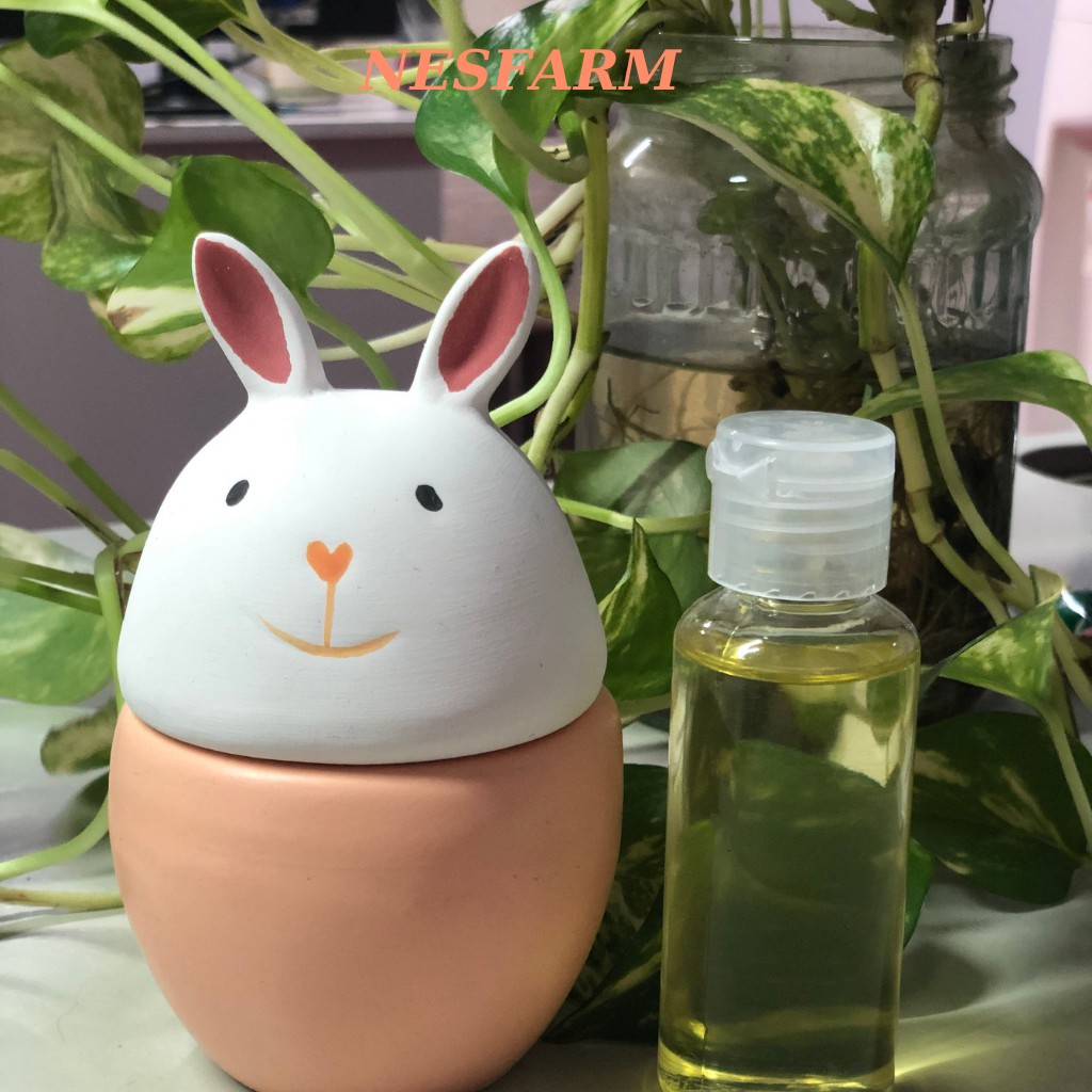 (Combo) Tinh dầu 10ml + Lọ đựng tinh dầu hình con vật
