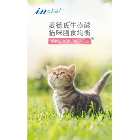 Vitamin cho mèo Inkat với Taurine bổ mắt sáng mắt khỏe tim tăng đề kháng Surica IN02 (120v)