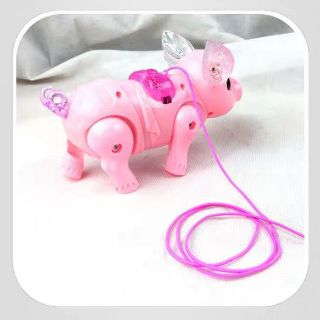 Heo Cute Mẫu Mới 2019