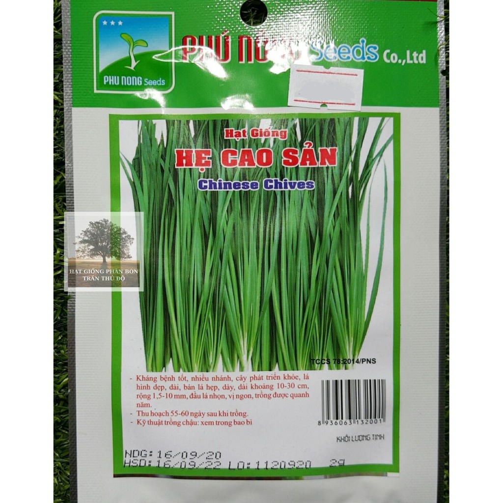 HẠT GIỐNG HẸ CAO SẢN PHÚ NÔNG - GÓI 2GR