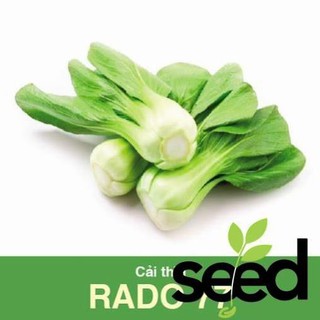 Hạt Giống Cải Thìa Rạng Đông RADO 77