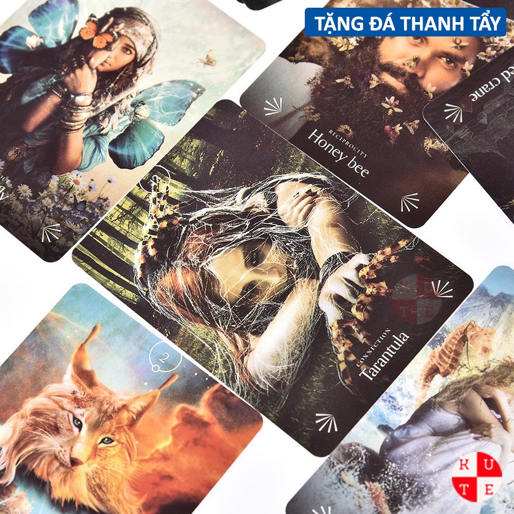 Bài Oracle Divine Animals 44 Lá Bài Tặng Đá Thanh Tẩy C113