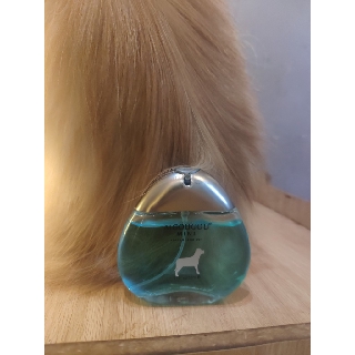 Nước Hoa mini Perfume dành cho thú cưng - Petcare