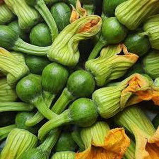 Hạt giống bí nụ