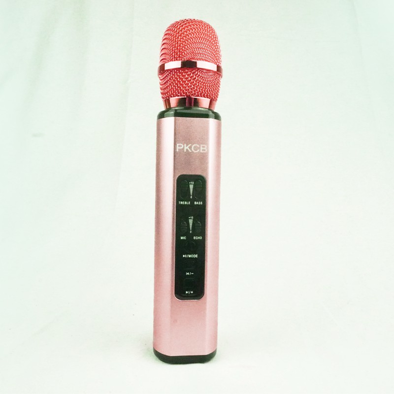 [Mã ELHACE giảm 4% đơn 300K] Micro Kèm Loa Bluetooth, Micro Karaoke PF14 - Hàng Chính Hãng