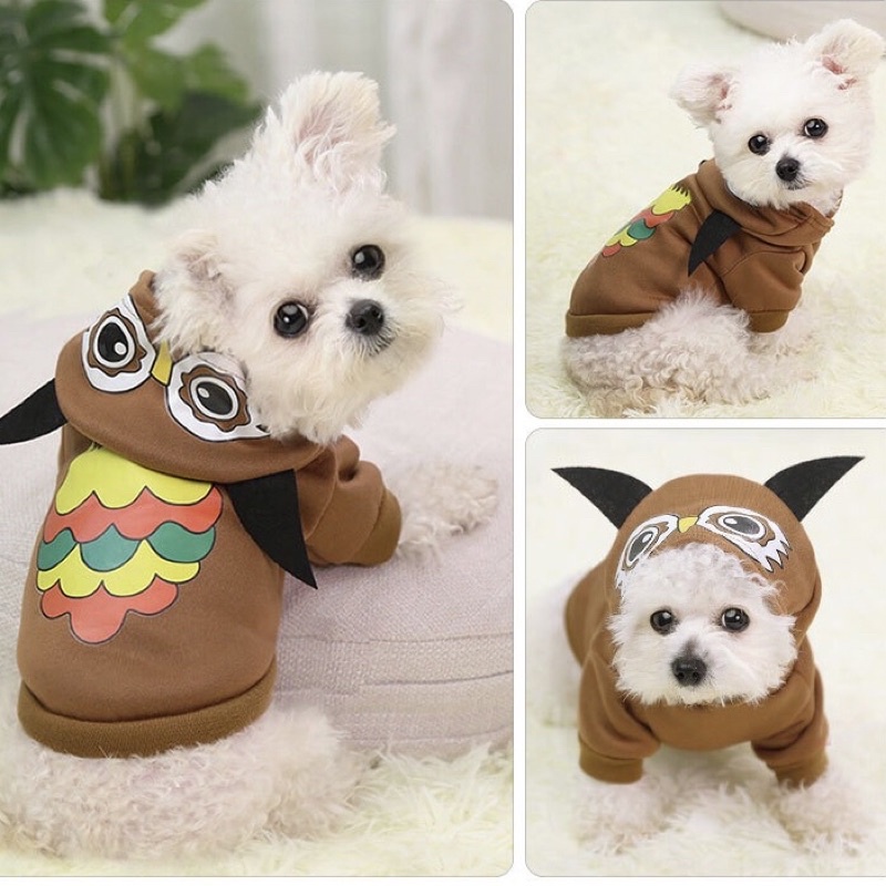 Áo cho Chó Mèo mùa thu đông nỉ có mũ các màu siêu dễ thương - Hoodie cho Thú cưng