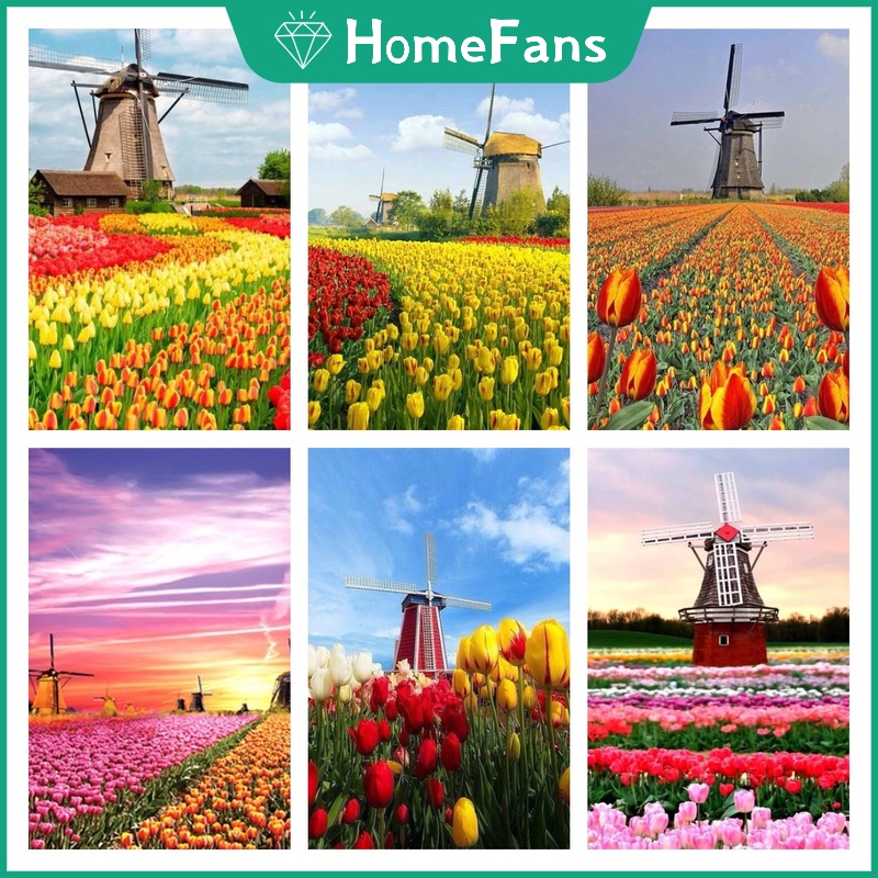 Bộ Tranh Đính Đá 5d Họa Tiết Hoa Tulip Độc Đáo Kích Thước 30x40cm DIY Dùng Trang Trí