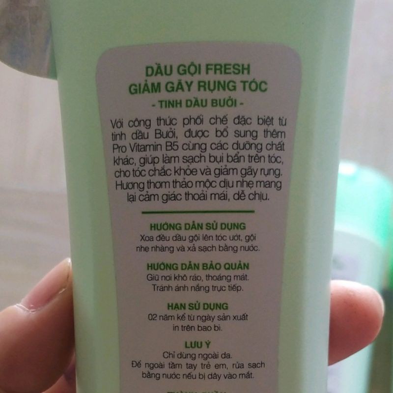 🌷 DẦU GỘI FRESH BƯỞI 170GAM - FRESH BỒ KẾT 180gam