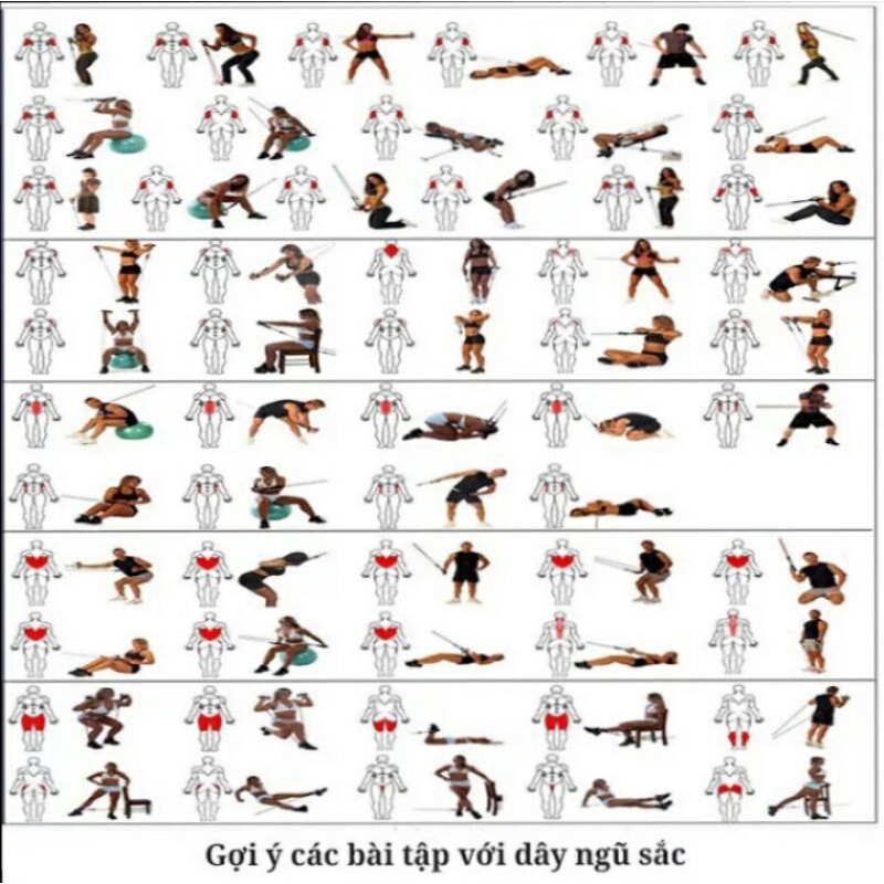 BỘ DÂY TẬP GYM NGŨ SẮC