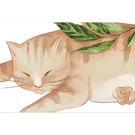 Decal dán tường Hoa thiên điểu