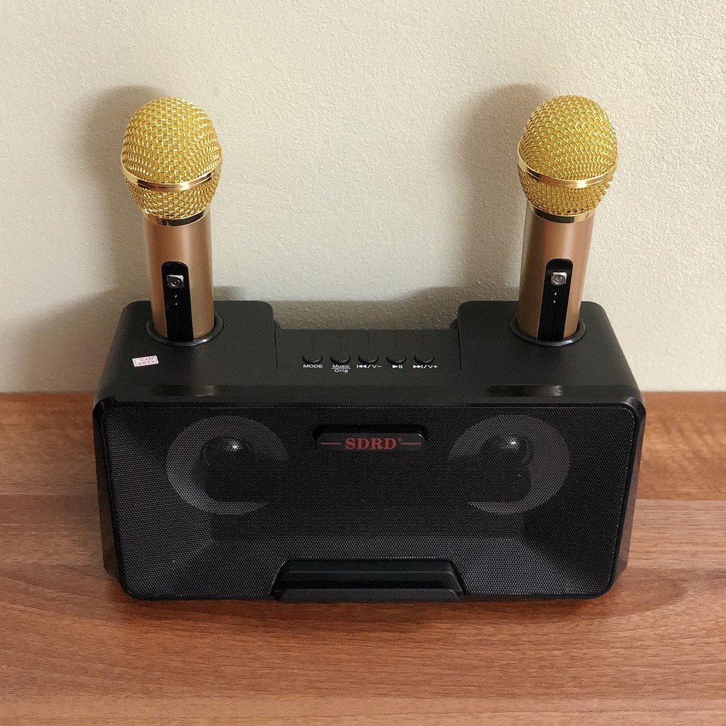 Loa Bluetooth Karaoke SDRD SD-301