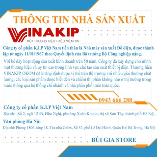 Phích chuyển đổi 3 chấu sang 2 chấu Vinakip 10A