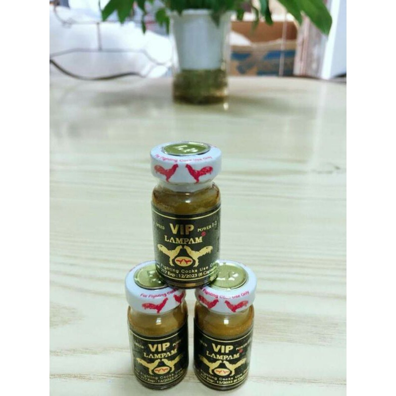 Thuốc công kích gà chọi ( gà tre) VIP LAMPAM