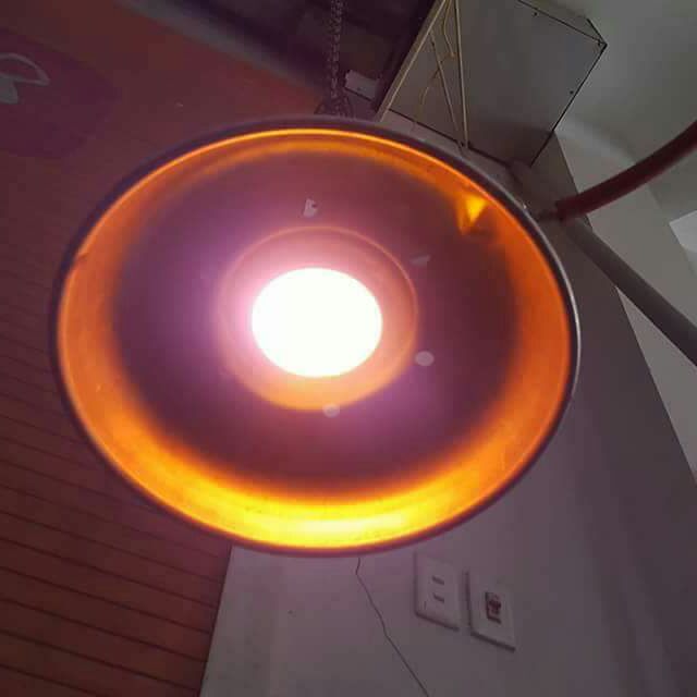 ĐÈN SƯỞI GAS / BIOGAS CHO LỢN , GÀ ,VỊT , THỎ ....