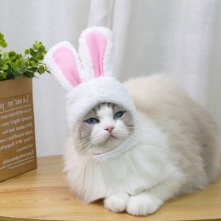 Mũ tai thỏ mềm mại có thể điều chỉnh chất lượng cao tùy chọn màu sắc cho mèo cưng
