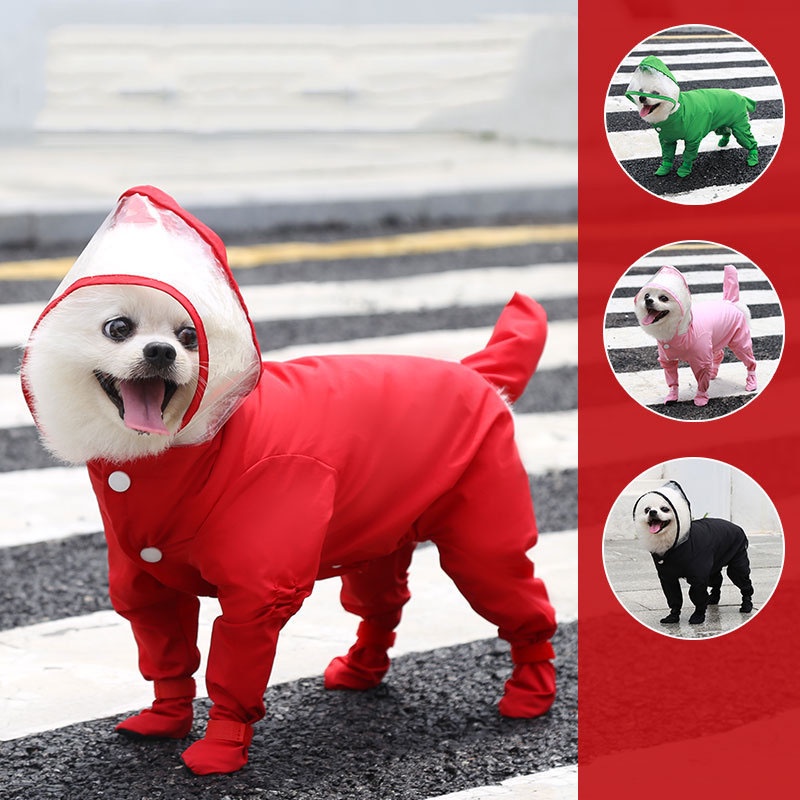 Áo Mưa Trong Suốt Bốn Góc Chống Thấm Nước Dễ Thương Thời Trang Cho Thú Cưng