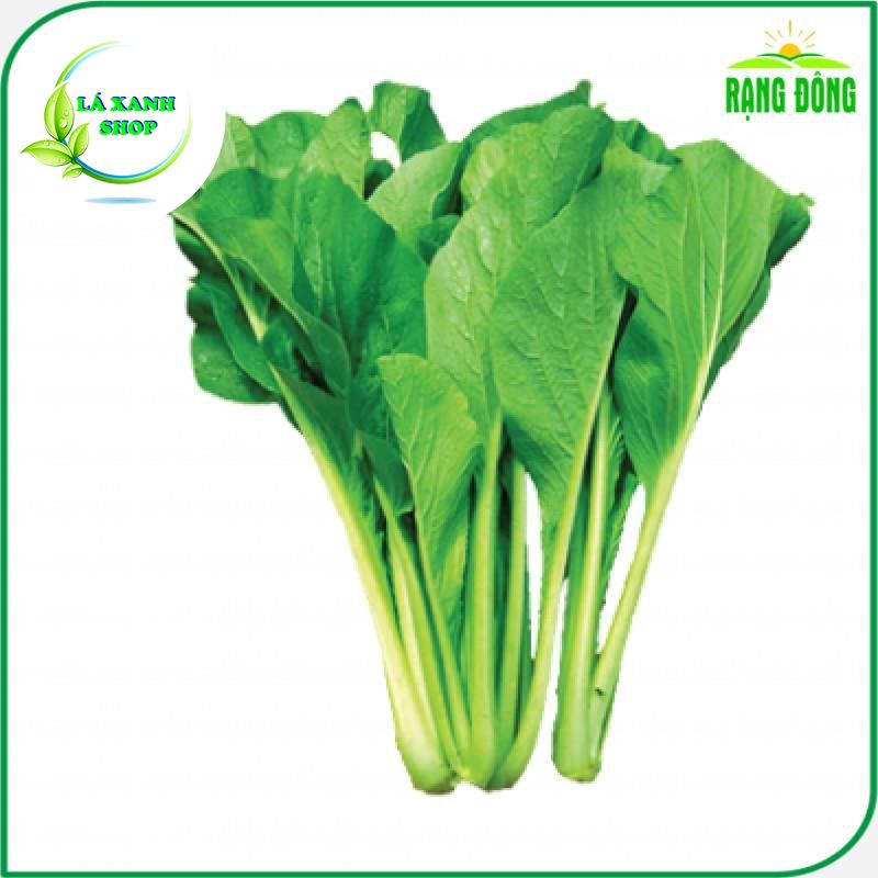 Hạt Giống Cải Ngọt Giòn, Cây To, Năng Suất Cao, Dễ Trồng (gói 20 gram) - Hạt giống Rạng Đông