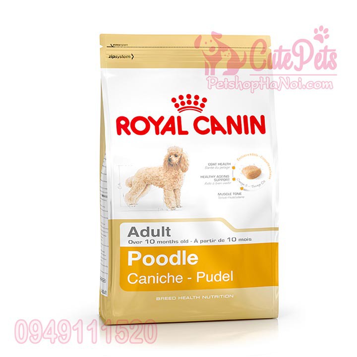 Thức ăn cho chó Poodle Hạt Royal Canin Poodle Adult 500g  - CutePets