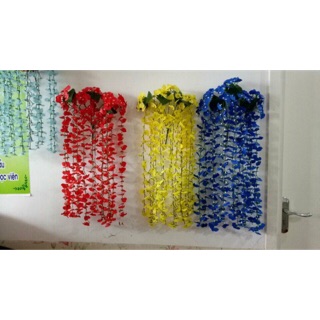 Lan vũ nữ dây treo tường
